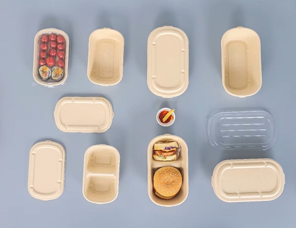 disposable bagasse molded fiber container