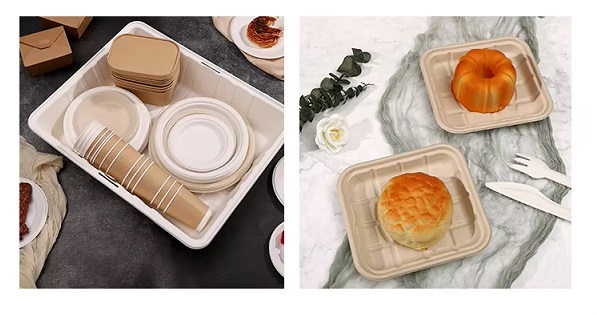 Various types of sugarcane bagasse packaging, including sugarcane bagasse cups, plates, trays, etc.
