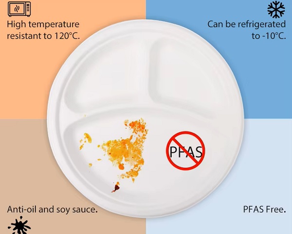 Performance of Sugarcane Bagasse Plates
