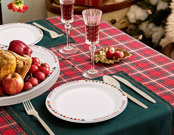 Eco Friendly Bagasse plates and cutlery