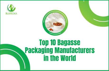 Top-10-Bagasse-Packaging-Manufacturers-in-the-World-01.jpg