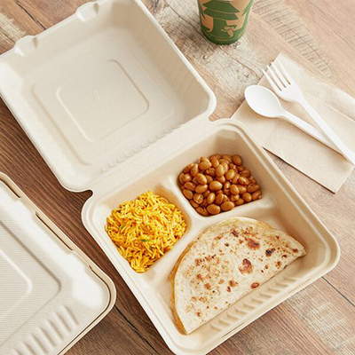 Trends-and-Opportunities-Exploring-the-Market-Potential-of-Bagasse-Tableware