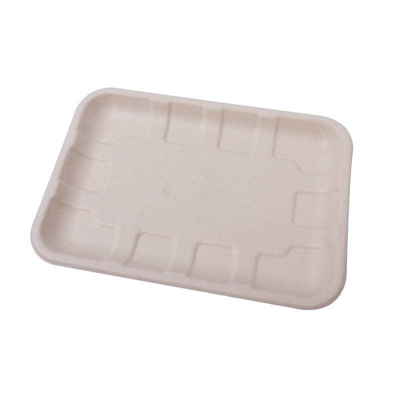 Eco Friendly Biodegradable Packaging Sugarcane Lunch Trays - China