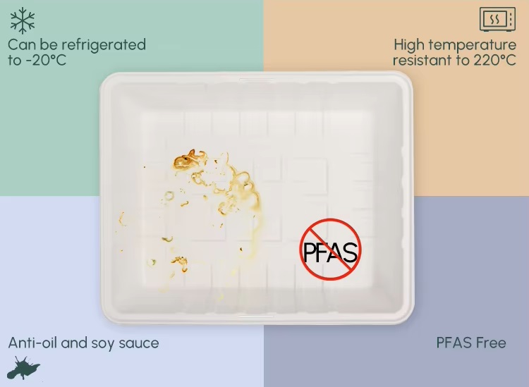 Performance of PFAS-Free Sugarcane Bagasse Containers.jpg