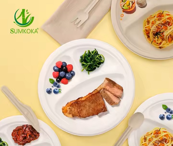 sugarcane fiber plates and cutlery.jpg