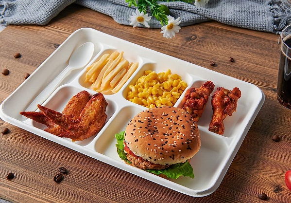 compartment tray for food