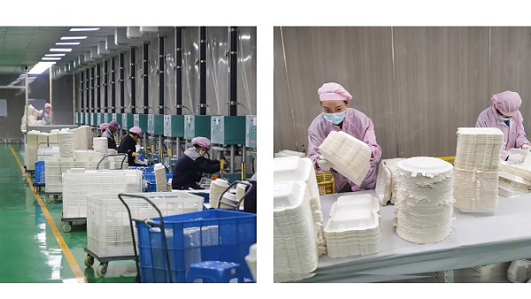 Specialized food packaging supplier - Sumkoka's factory