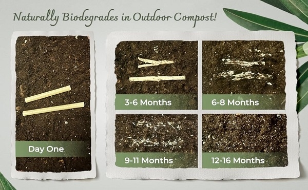 The process of composting disposable straws