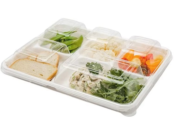 Sustainable disposable packaging with lid.jpg