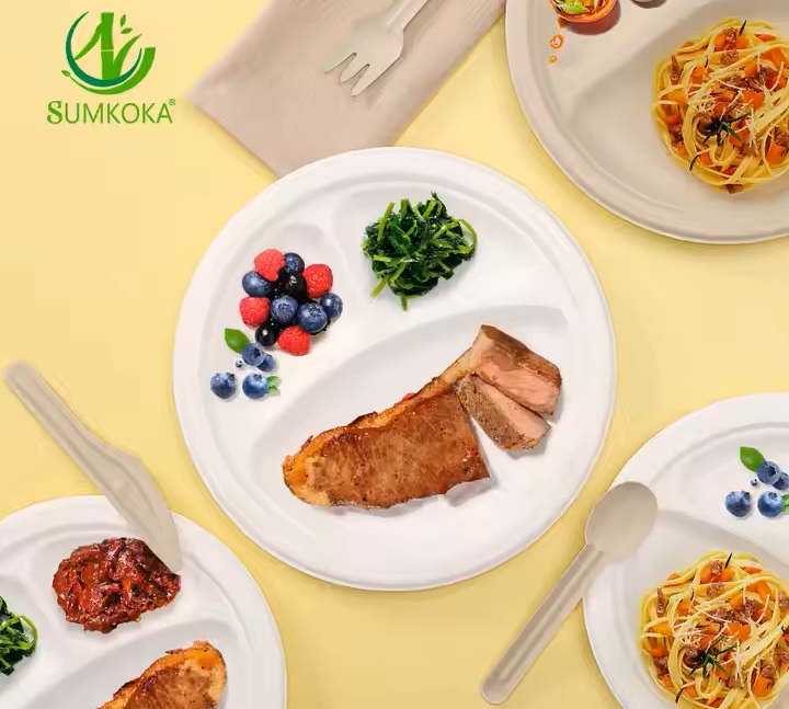 Eating lunch with disposable sugarcane fiber plates, forks, and spoons.jpg