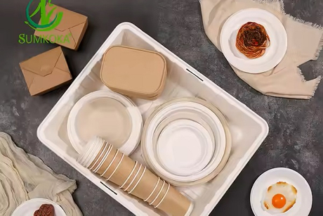 compostable dinnerware.jpg