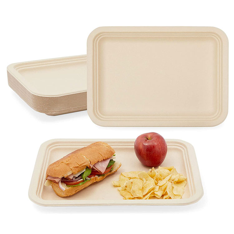 8" Rectangle Compostable Bagasse Food Serving Tray