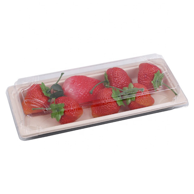 Biodegradable Sugarcane Pulp Sushi Container with PET Lid