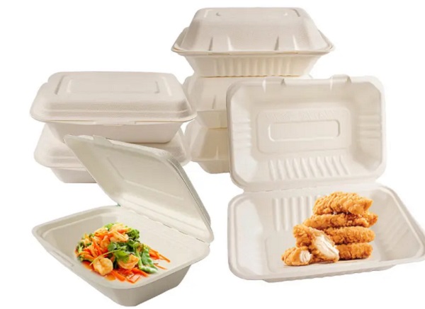 biodegradable food container