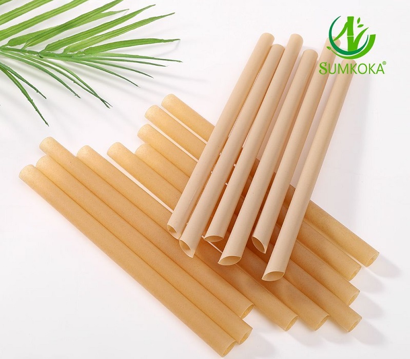 biodegradable bagasse drinking straws.jpg
