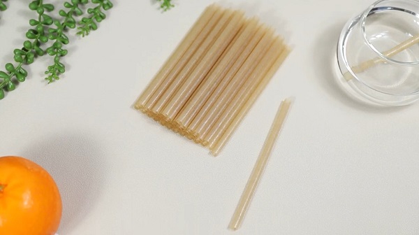 compostable sugarcane straws.jpg