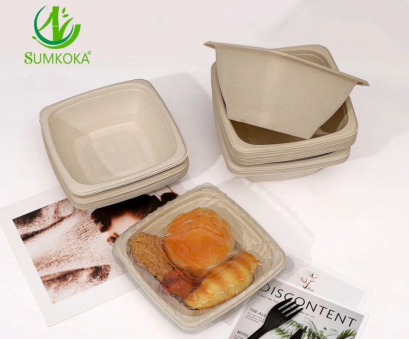 Disposable sugarcane pulp bowl with lid.jpg