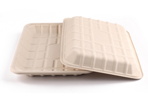 natural bagasse meat trays