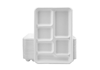 bagasse-tray01.png