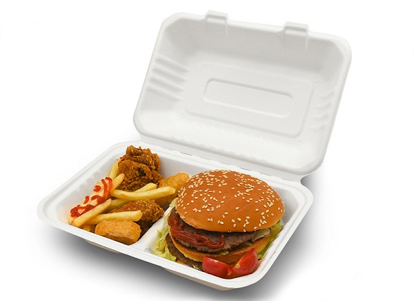 Compostable sugarcane bagasse lunch box