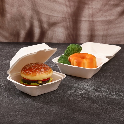 bagasse food container