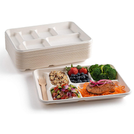 6 Compartment 10" Compostable Bagasse Food Tray