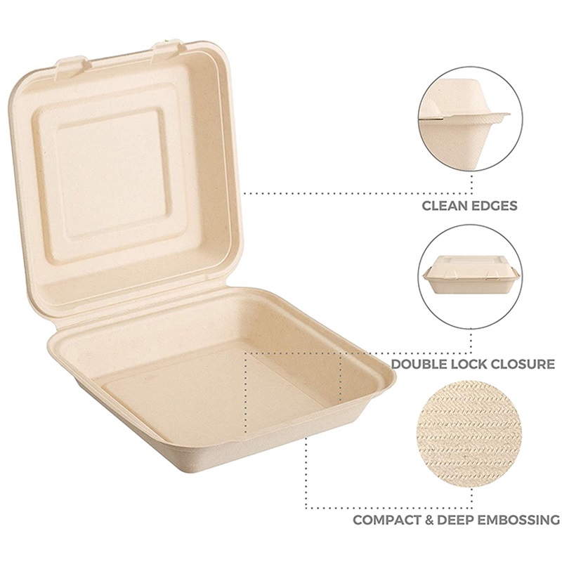 Eco-friendly 10 Inch Bagasse Clamshell Container
