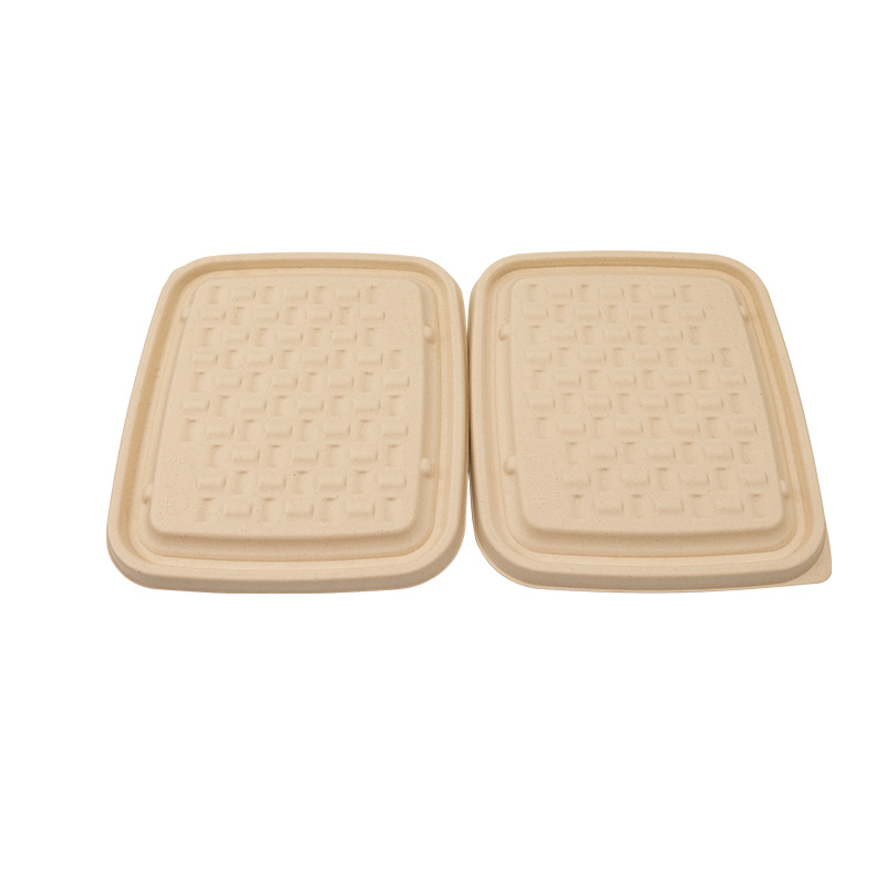 Biodegradable 3 Compartment Natural Sugarcane Food Tray with Lid