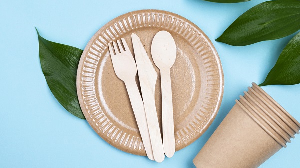 Bagasse biodegradable tableware