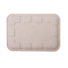 Eco-Friendly 8 Inch Sugarcane Bagasse Tray for Vegetables