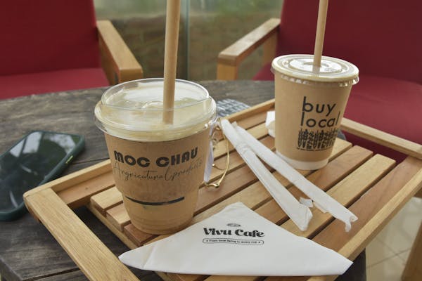 Compostable straws, plant-based straws