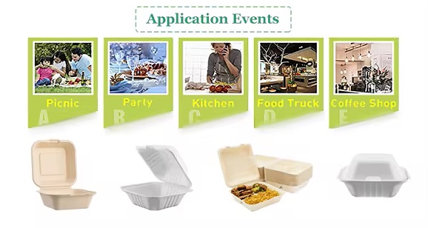 Disposable Sugarcane Bagasse Fiber Products Suitable for Multiple Food Service Scenarios in India.jpg