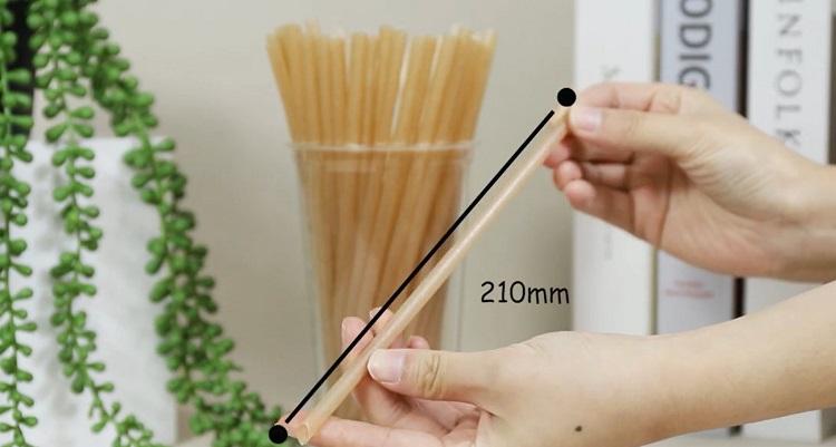 Customized Disposable Sugarcane Pulp Straw Dimensions.jpg