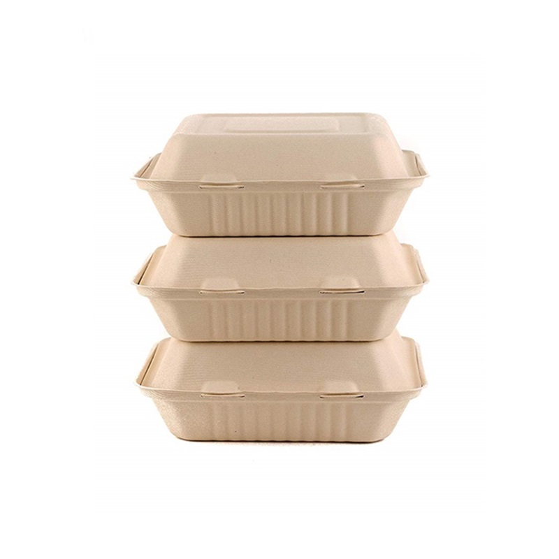 9 Inch Biodegradable Bagasse Take Away Containers