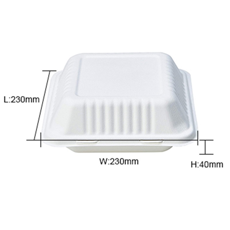 9 Inch Biodegradable Bagasse Take Away Containers