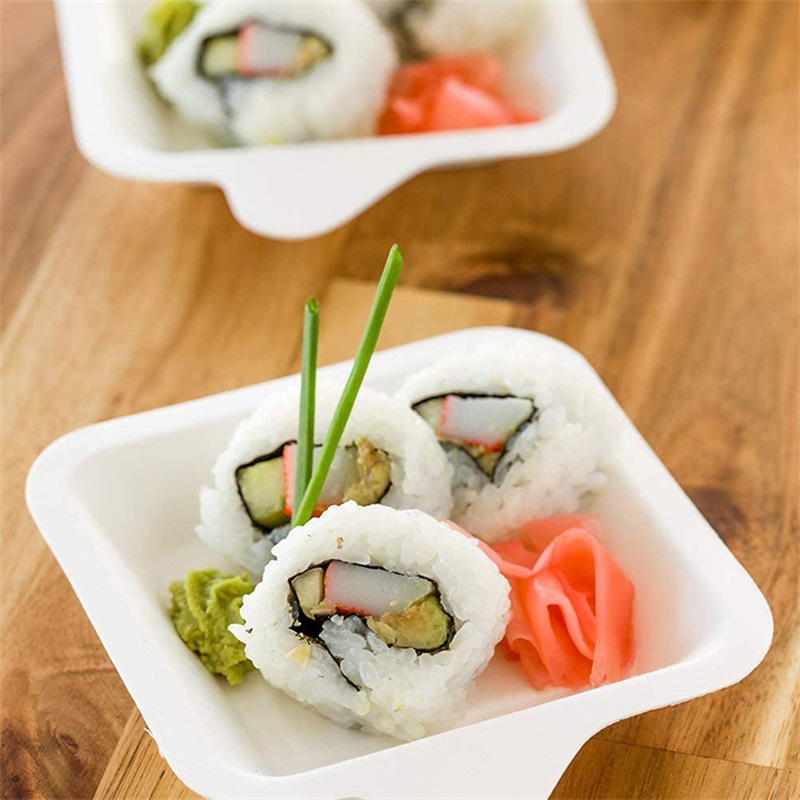 Latest Style Disposable Bagasse Square Dessert Plate.jpg