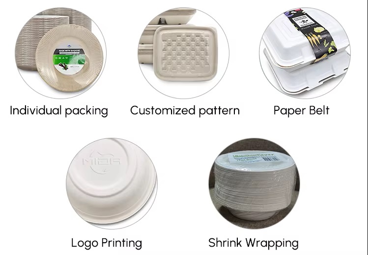 Customization Options for Sugarcane Bagasse Food Containers.jpg