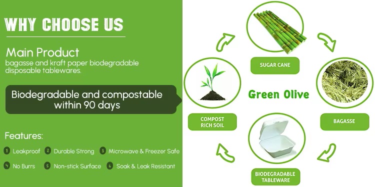 Benefits and Life Cycle of Sustainable Sugarcane Bagasse Materials.jpg
