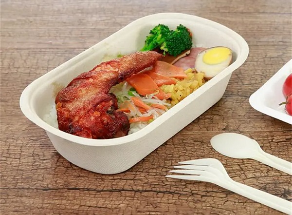 disposable bagasse lunch box.