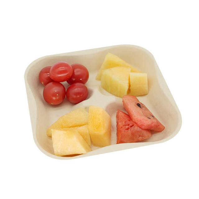 Eco-friendly Bagasse Fiber Square Fruit Plate