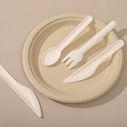 bagasse cutlery