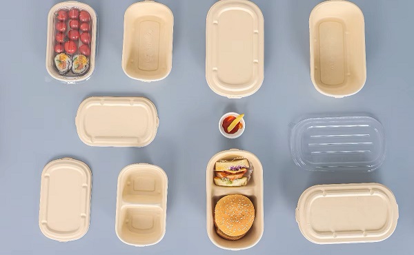 bagasse molded fiber container with reclosable lid