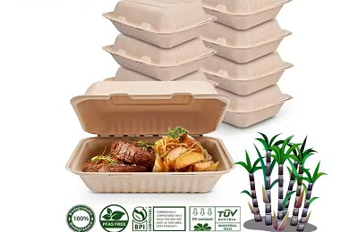 disposable food containers.jpg