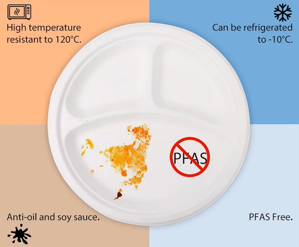 Outstanding Performance of Disposable Sugarcane Bagasse Plates.jpg