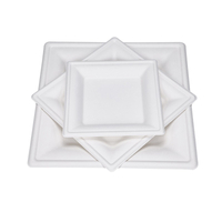 6" 8" 10" Square Compostable Bagasse Wedding Plates