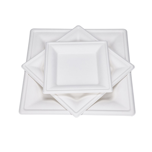 6" 8" 10" Square Compostable Bagasse Wedding Plates