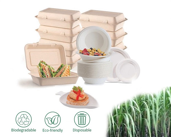 compostable lunch boxes and bowls made of bagasse