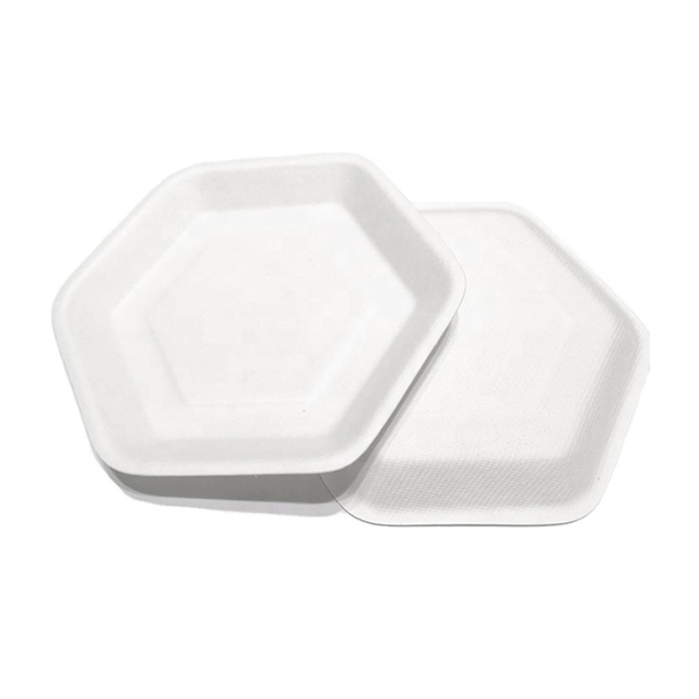 100% Biodegradable Hexagon Bagasse Dishes for Cake