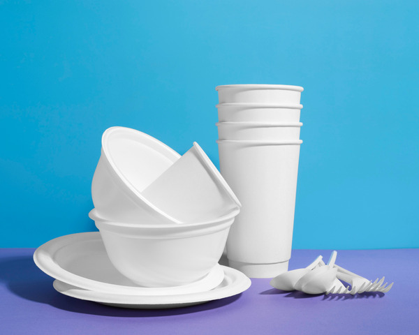 sugarcane bagasse products, including disposable cutlery, bowls, and plates.