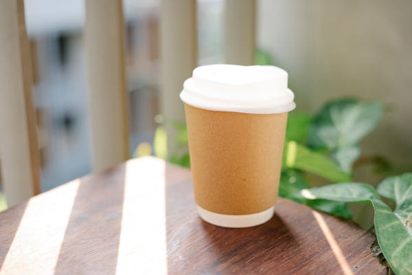 Biodegradable bagasse cup